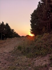 The red edge of the sun setting behind a low hill surrounded by trees