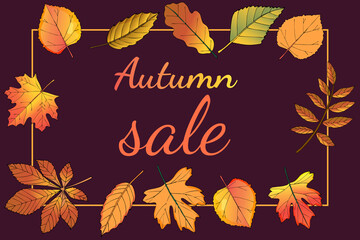 Frame Autumn sale.On a dark background with leaves Golden purple yellow and red.Sale ads.vector illustration.