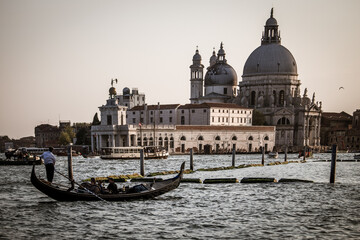 Venice's Architectural Treasures: Admiring the Salute, Basilicas, and Bridges Along the Grand Canal
