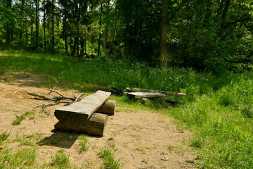 Close up on two wooden benches made out of logs and planks standing next to a sandy coast of a river or lake and covered with grass located next to a dense forest or moor seen in Poland during summer