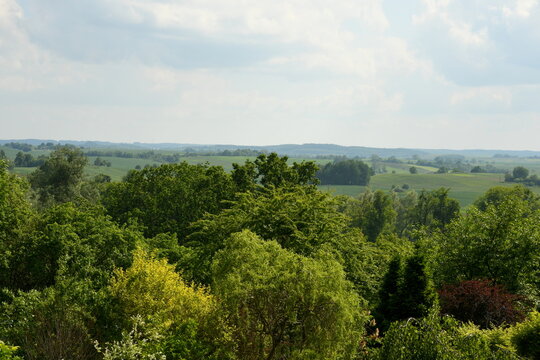 View from the top of an observation tower with a dense deciduous forest or moor in the foreground and some fields or meadows stretching up to the horizon noticable in the background on a cloudy day
