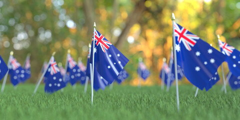 Small flags of Australia in the grass. National holiday related 3D rendering