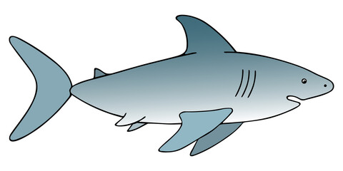 Shark. An underwater monster with a toothy jaw. Colored vector illustration. White isolated background. Dangerous deep dweller. Large predatory marine fish. Cartoon style. World Oceans Day. 