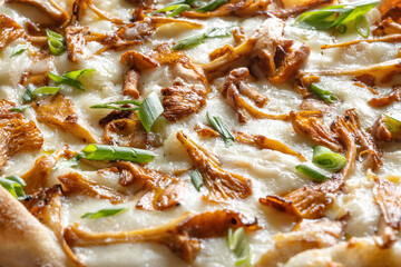 Pizza with chanterelle mushrooms, cheese and green onions, delicious food.