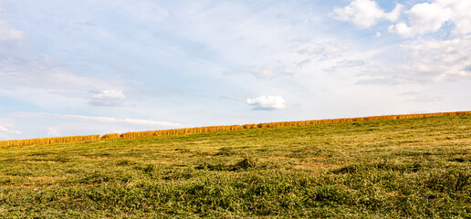 Fototapeta premium Hintergrundmotiv: Felder vor blauem Himmel mit weißen Wolken