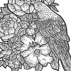 Parrot in Flowers coloring page. Sketch scratch board imitation. Black and white.