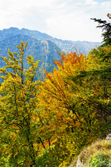 View from Thee Crowns (Trzy Korony) in Pieniny National Park, Poland. © Milosz Maslanka