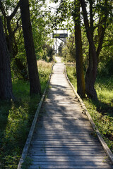 Boardwalk in a nature reserve