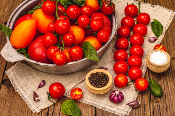 Assorted ripe multicolored tomatoes. Young garlic, fresh basil leaves, salt, spices