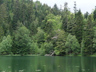 Fototapeta premium The small lake of 