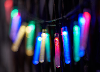 Bright lights hanging in the night garden