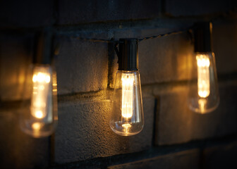 Bright yellow lights hanging in the night garden