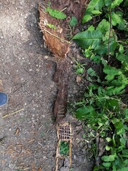 Kunst im Wald