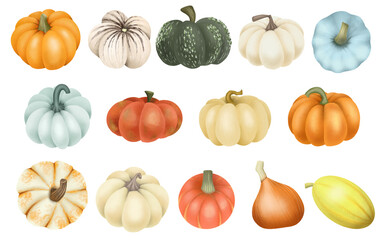 Set of hand drawn different varieties of pumpkins, isolated illustration on a white background