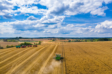 Fototapeta premium Mähdrescher und Traktor bei der Getreideernte auf einem Feld in Brandenburg