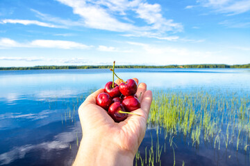 Woman hand holding sweet cherries and lake view on the background, Lake Onkivesi, Maaninka, Kuopio, Finland