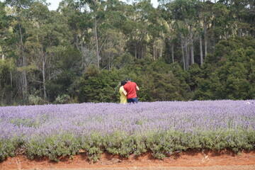 Couple in field