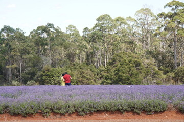 Couple in the field