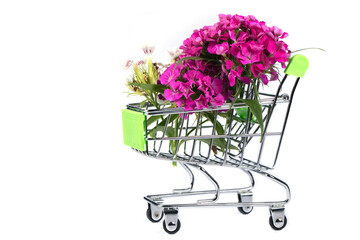 Supermarket trolley with flowers on a white background. Sale of flowers.
