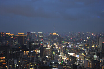 Fototapeta na wymiar 東京タワーからの夜景