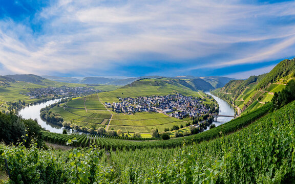 scenic moselle river loop at Leiwen, Trittenheim