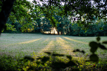 campagne haute corrèze