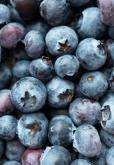Close-up ripe blueberry with selective focus texture above, vertocal. Minimalist food background. Tasty colorful fresh berry pattern