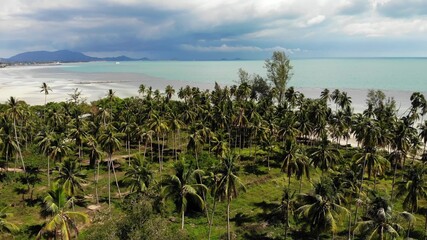Unusual coast of white sand. Breathtaking landscape of sandy wavy seaside. Paradise islands in Asia. Drone view, natural idyllic scene, coconut palms on the beach. Thunderstorm in the tropics.