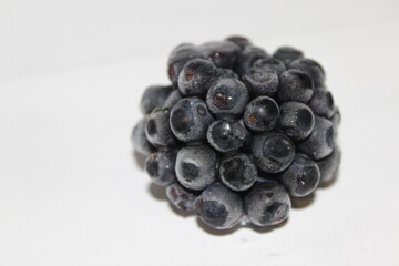 blackberry on a white background