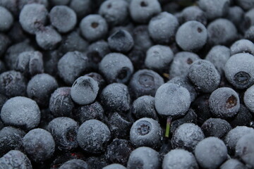 blueberries on wooden background