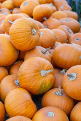 sehr viele orange Kürbisse liegen auf einem Haufen