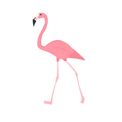 Naklejka premium Flamingo Illustration