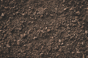 Soil texture background, Fertile soil for planting.