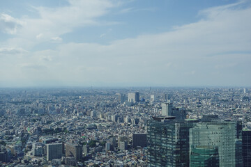 Tokyo Panoramic Skyline