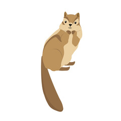 Chipmunk Illustration
