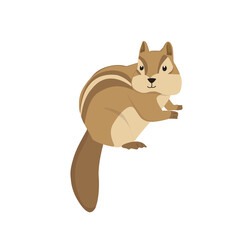 Chipmunk Illustration