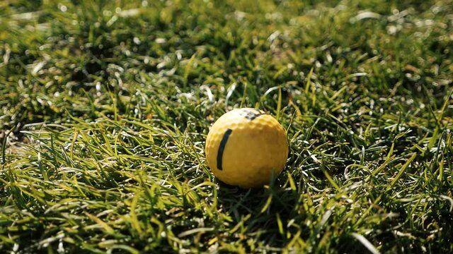 child puts a golf ball on the grass