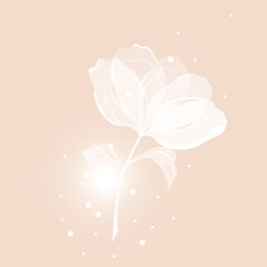 Transparent flower in beautiful style. Fashion design, background. Vector illustration. Botanical wallpaper.