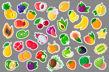 Set of vector cartoon illustrations stickers with summer exotic fruits and berries.