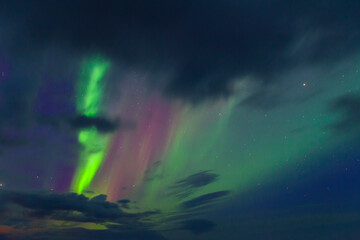 Obraz premium Northern Lights, Southern Iceland, Iceland, Europe