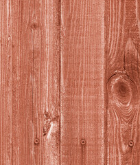 Planks of the old gate with remnants of paint, knots, cracks, annual rings of wood, screw heads, background are visible © Aleksandr