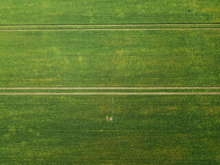 Top view. A man lies among a large green wheat field. Harvest concept