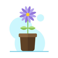 Purple flower in pot flat illustration. Color vector icon. Purple flower with green leaves in pot vector illustration. Floral business concept