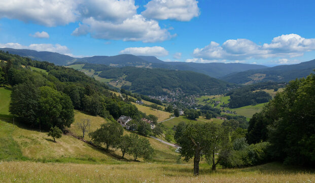 Vogesenlandschaft oberhalb von Orbey im Elsass