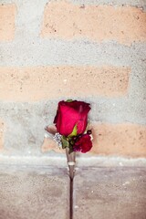 simple singe red rose groom boutonniere leaning on brick wall