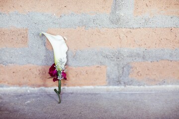 simple white lily with small red rose groom boutonniere