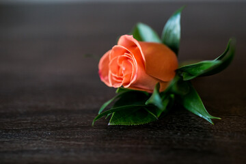 single orange rose groom boutonniere with green leaves set on table with copy space
