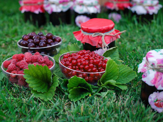 raspberries in the garden