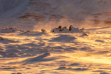 Myvatn, North Iceland, Iceland, Europe
