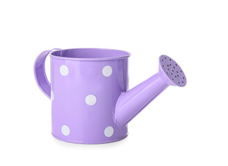 Watering can on white background